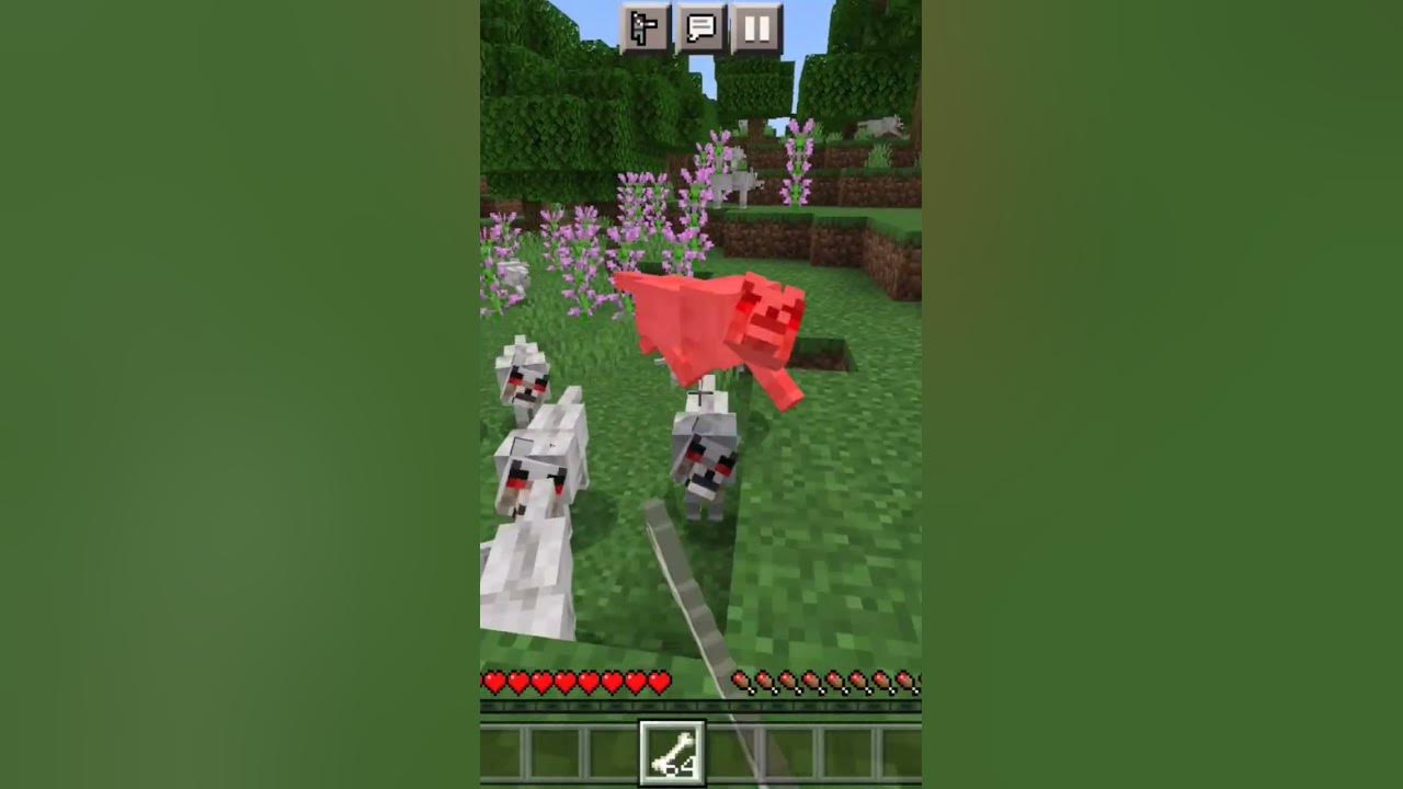 taming-a-dog-in-minecraft-gone-wrong-shorts-youtube