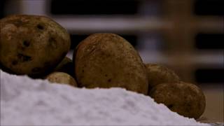 PaperFoam, the making of a great sustainable packaging material