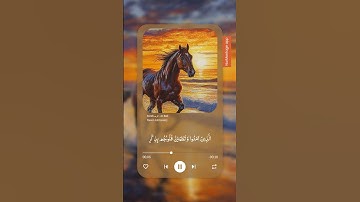 الذين آمنوا وتطمئن قلوبهم بذكر الله ألا بذكر الله تطمئن القلوب 🤍🎧 القارئ: ياسر الدوسري📖 #قرآن #دويتو