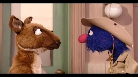 Muppet Mindset Bushfire Fundraising Campaign Results