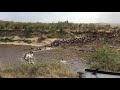 百夫長肯亞馬賽馬拉國家公園-動物大遷徙牛羚過河
