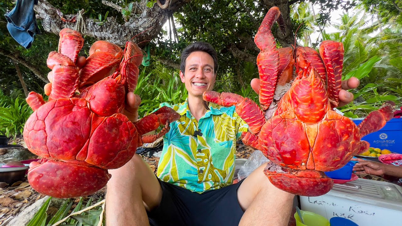 Huge Coconut Crab! This Island in Fiji is Crab Paradise!