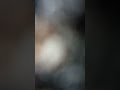 زامل بن مبروك ياهل الهوى ماترحموني