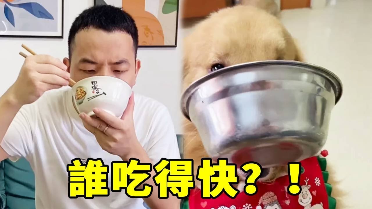 笑不活了！毛媽一句話點燃戰火，毛爸和四毛爲了不洗碗，上演極限追逐賽，結局太意外！😆【起错名的四毛】