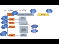 Curso Completo iptables Parte 3 - Arquitectura Iptables