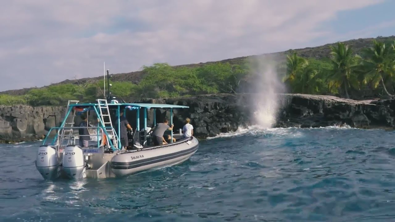 Island of Hawaii Sea Quest Hawaii YouTube