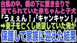 【感動する話】雨の日の奇跡〜失った光と新しい絆〜 20251023【朗読】