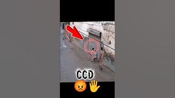 CCD software update #trending #shorts #ccd #softwareupdate