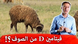 مكملات فيتامين د تأتي من صوف الخراف فهل هي ضارة أم آمنة؟؟