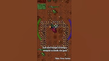 Tibia Time Boosted Series: Dworc Fleshhunter! #tibia #gaming #shorts