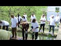 Peringati Sumpah Pemuda, Kejati DKI Tanam 1028 Bibit Mangrove di PIK