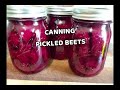 Canning Pickled Beets |  Stocking The Pantry