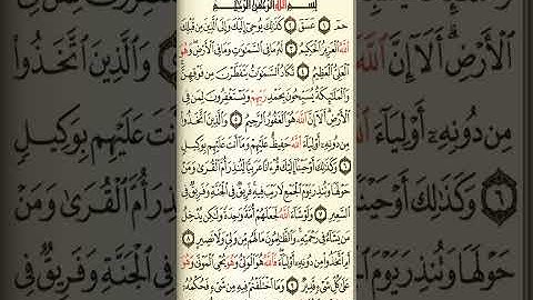@آيات مباركة من سورة( الشورى) اخي الفاضل تفكر بها من الآية الكريمة (١-١٠)