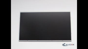 MV215FHM-N30 21.5" a-Si TFT-LCD   Panel for