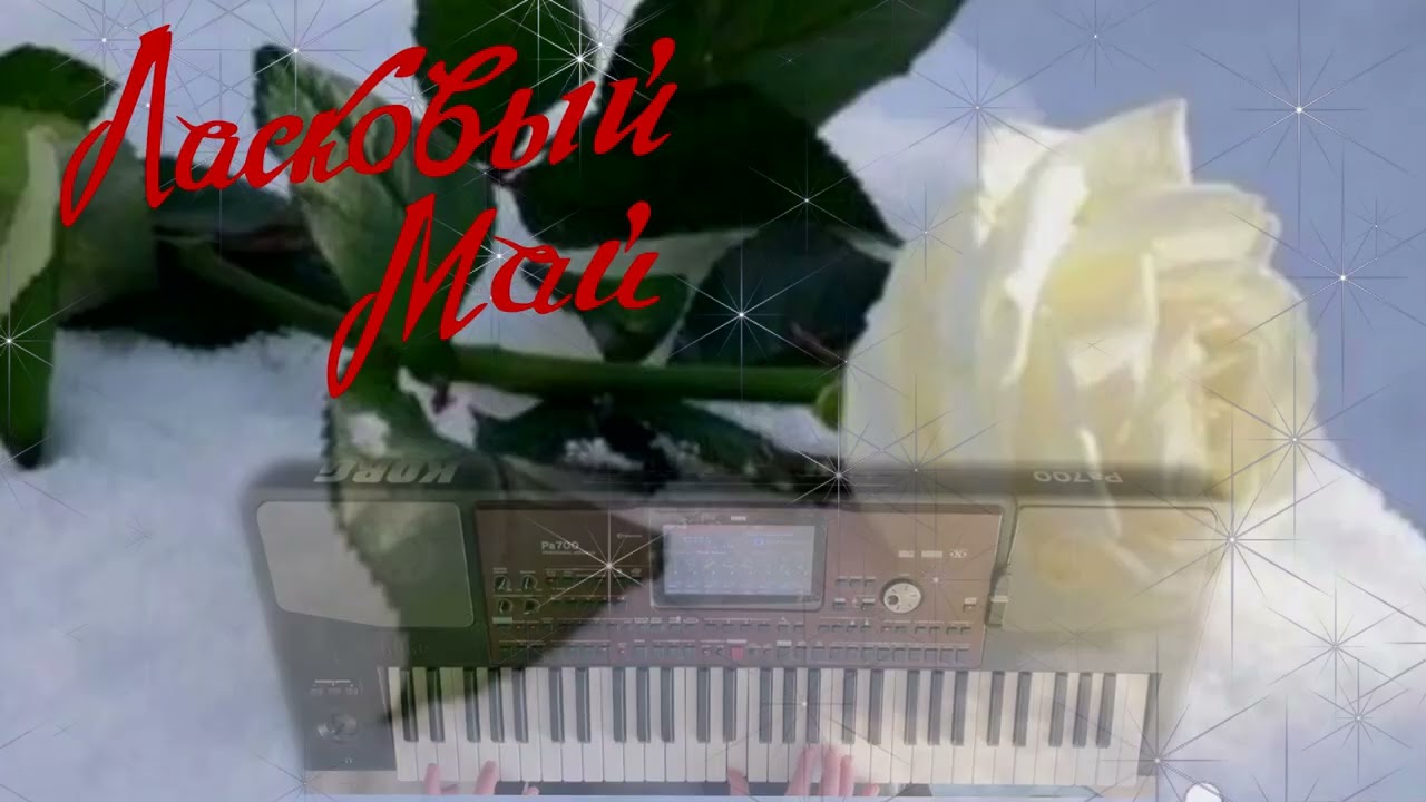 Белые розы (cover KorgPa)