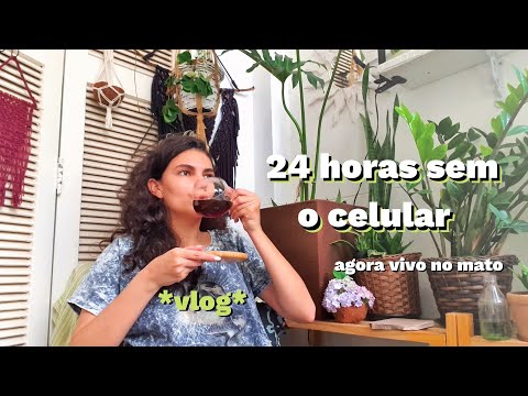 Vlog - Passei 24 horas sem o celular / carol na cozinha +