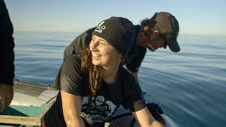 Operation Milagro II: Vlog 12 - This is Direct Action