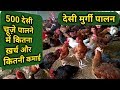 मुर्गी पालन| 500 देशी मुर्गी पालन करने में कितनी लागत कितना मुनाफा| #poultryfarming