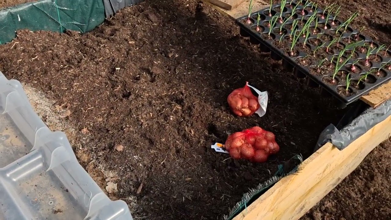 Bretagne ensoleillée le 25 février 2026