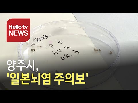 양주시, ′일본뇌염 주의보′