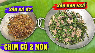 ẨM THỰC HÀI HƯỚC "CHIM CÒ 2 MÓN" MÓN NGON DÂN DÃ MIỀN TÂY VÀ PHA TROLL ỚT CƯỜI BỂ BỤNG/NGÃ NĂM TV