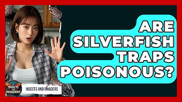 Are Silverfish Traps Poisonous? - Insects and Invaders