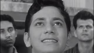 Janewalo Zara Mudke Dekho _Vinyl Bells 28