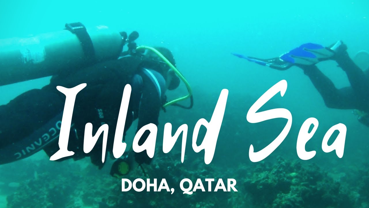 INLAND SEA, QATAR SCUBA DIVING YouTube