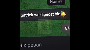 Patrick Kluivert resmi dipecat dari posisinya sekarang senagai headcoach timnas Indonesia #indonesia