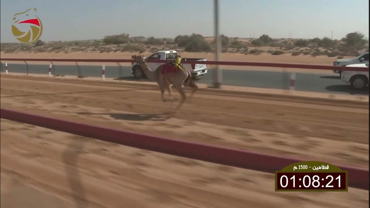 22 فبراير، 2026