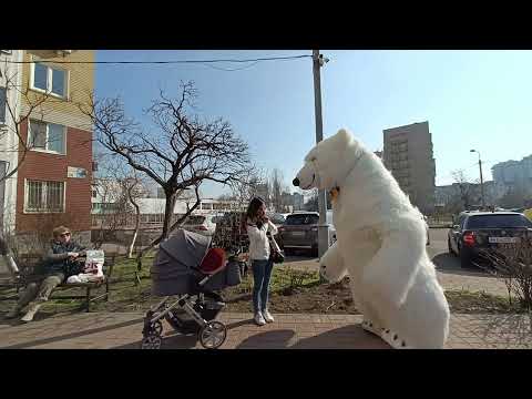 Белый Медведь поздравляет именинницу. Встречайте незабываемый сюрприз для вашей именинницы!