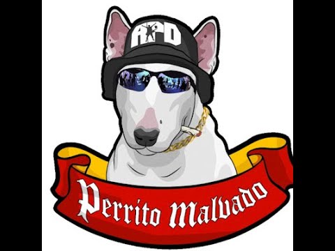 DAMAS GRATIS - PERRITO MALVADO INTRO (MIDI / STEM/ ONE SHOTS) #