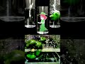 水の音だけで「ピーマン体操」を演奏してみた!