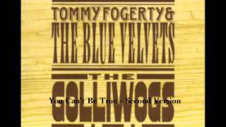 Watch John Fogerty You Cant Be True video