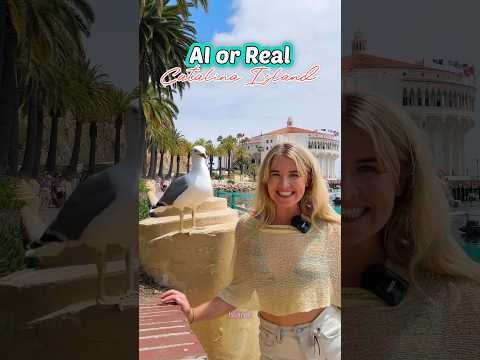 I M On AIsland Time Catalinaisland Aiorreal Ai