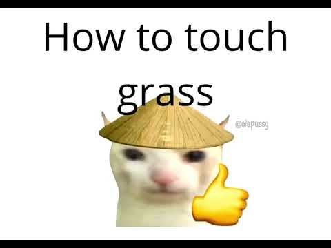Tutorial - How To Touch Grass