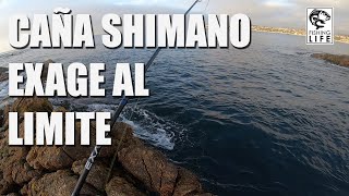 Tested the SHIMANO EXAGE UL rod, for ULTRA LIGHT FISHING, with MUSTAD soft plastic lures, in El Q... screenshot 1