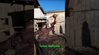 #метание #спорт #подпишись