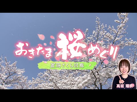 おきたま桜めぐり〜置賜さくら回廊〜