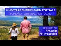 CHERRY FARM FOR SALE WOULD YOU BUY THIS OFF-GRID HOUSE IN CENTRAL PORTUGAL CHEAP HOMESTEAD TINY HOME