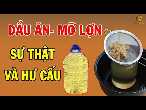 Video Giật Mình! Tất Cả Đã BỊ Lừa Dầu Ăn CÓ Thực Sự Tốt, Đây... - youtube
