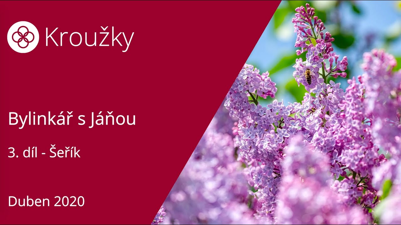 Šeřík - Bylinkář s Jáňou (3. díl)