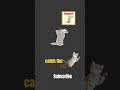 tap to catch the cat #viralgame#shorts