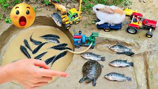 catch fish using mini powerful diesel engine water pump for fish 🐟 | fishing exciting | diy tractor