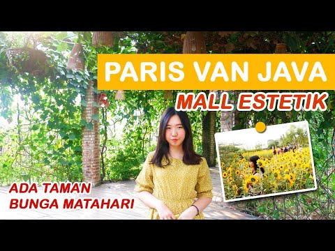 Di Dalam Mall Ada Kebun Bunga Matahari Paris Van Java