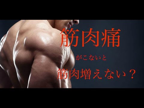 来 筋肉 ない 痛