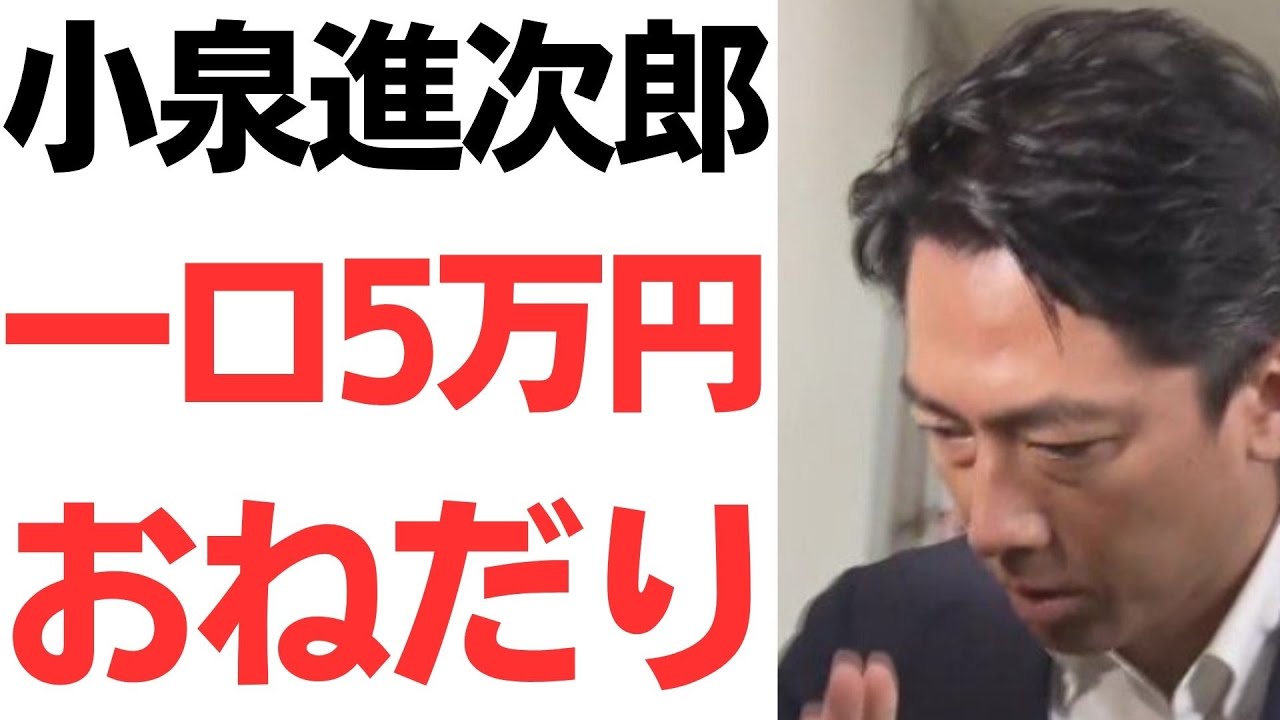 小泉進次郎氏の自民党総裁選資金をめぐる報道｜動画内容を整理のサムネイル