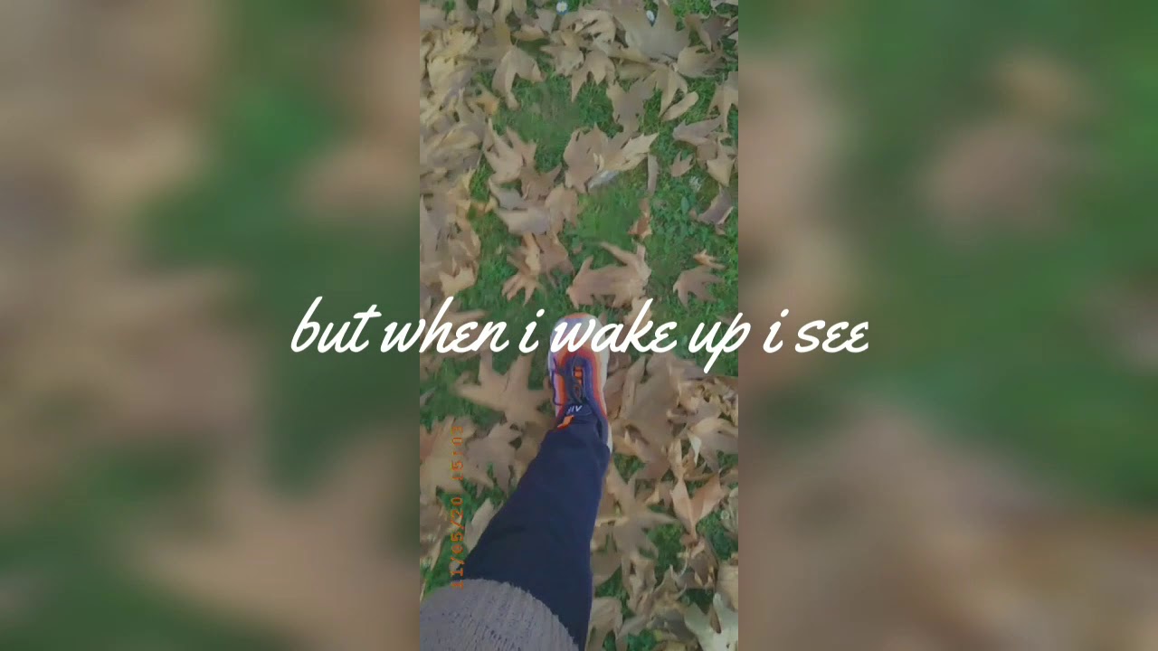 Autumn in Kashmir🧡