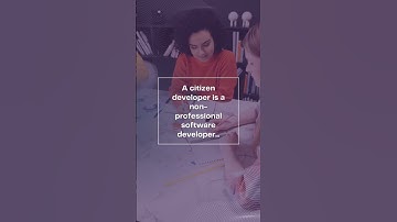 Who Are Citizen Developers?