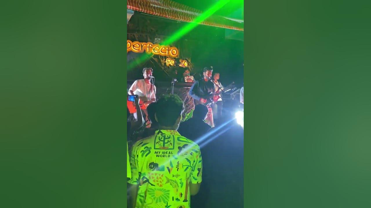 Twin String Live concert